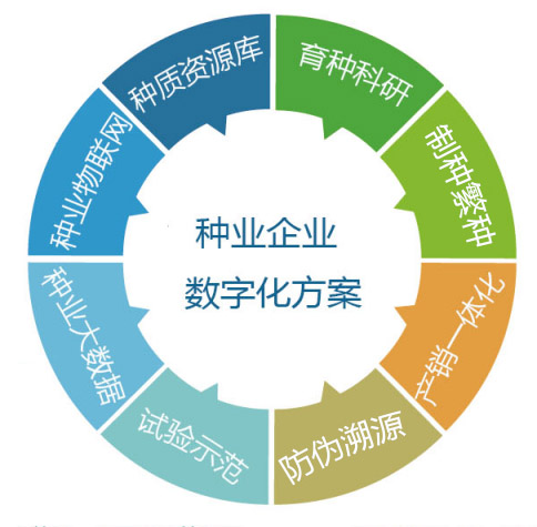 种业2_副本.png