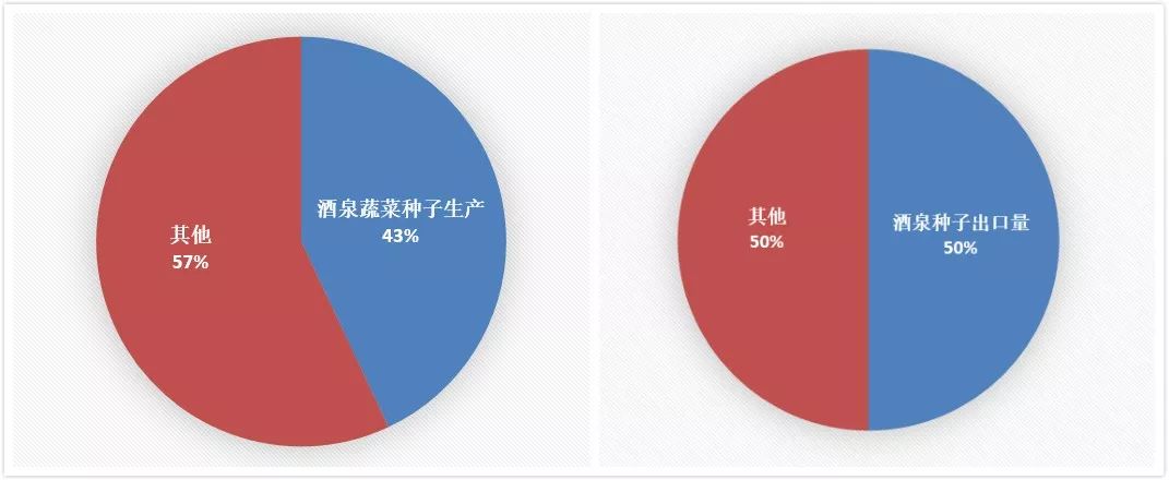 酒泉种子基地.jpg