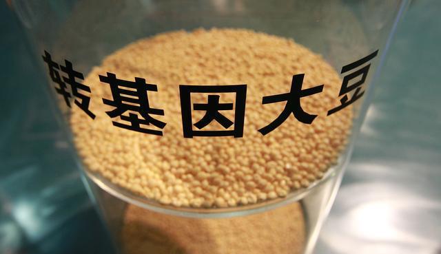 转基因大豆