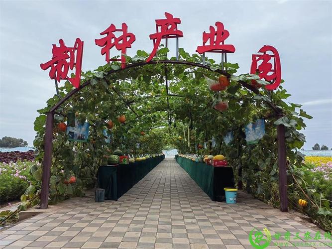 数字化制种