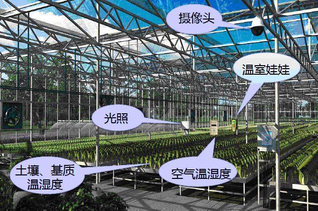 种业供应链管理软件