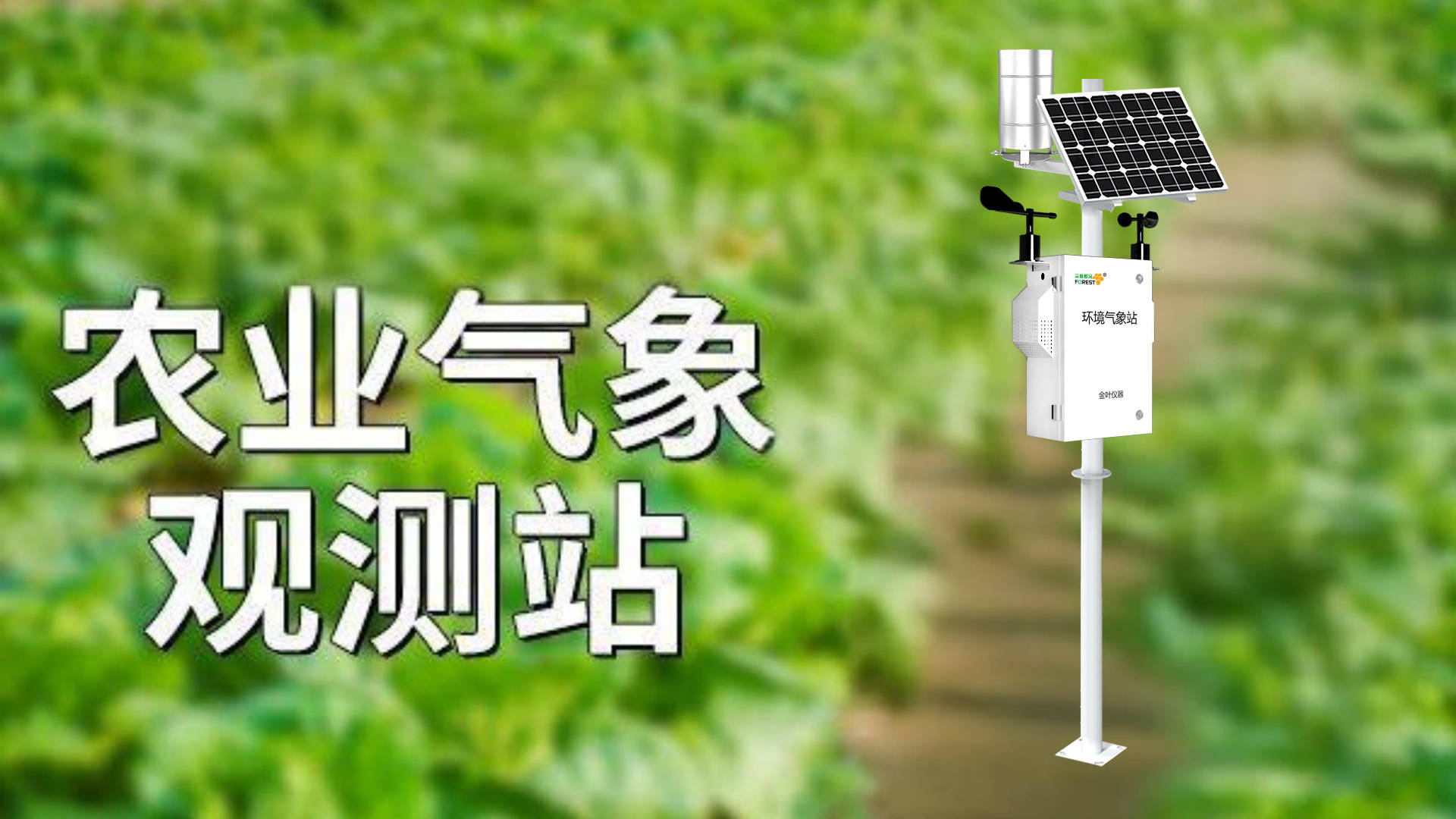 农业数据分析系统