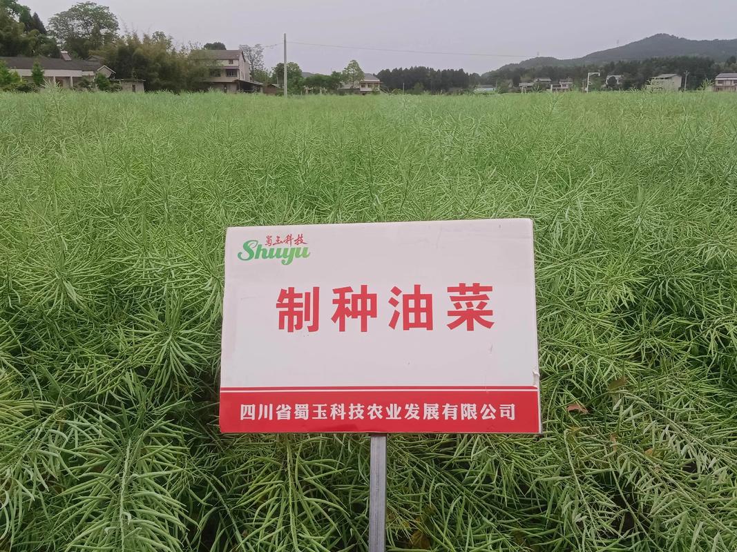 数字化制种软件