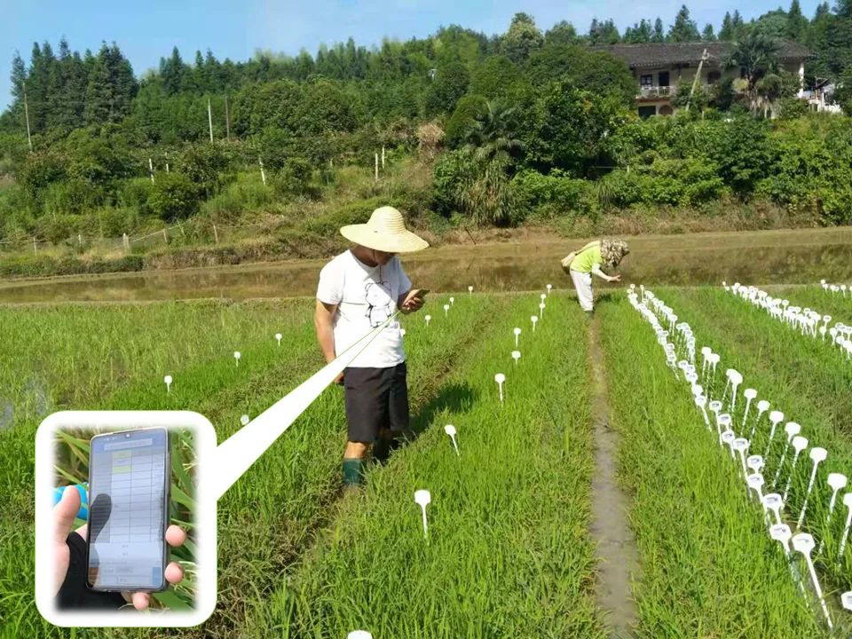 数字种业