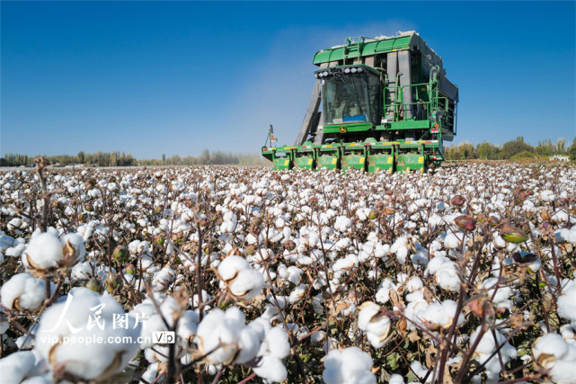 育种数据管理系统