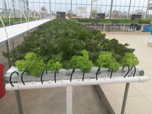 d7bbe39f7cef96c0b146e1fc23c12a18.jpeg 农事作业管理软件