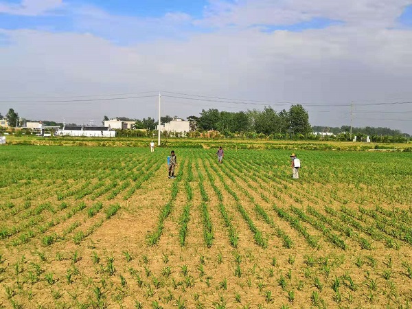 03da362718b9ba3feeca5b9f8ef6e1f5.jpg 种子管理软件