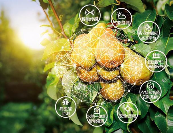 农业物联网