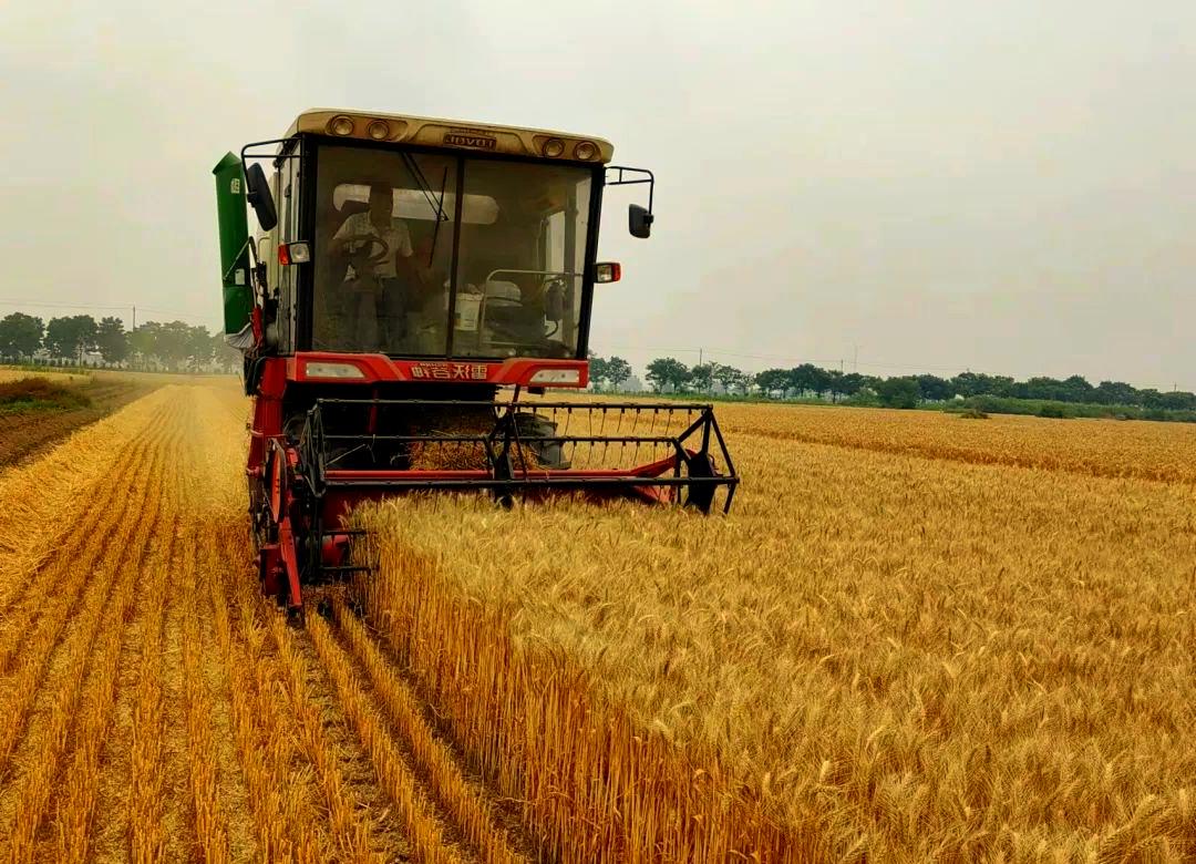 e97ea17a3096ce32667c55fbbbf8e16b.jpeg 农业大数据管理平台