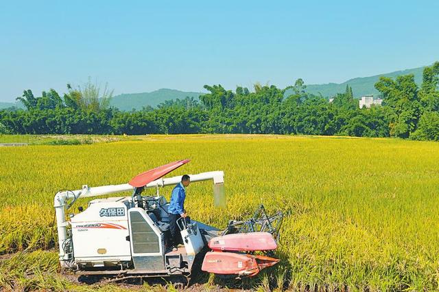 715517e4960c170e8d82c44407af791c.jpeg 种业产业链管理软件