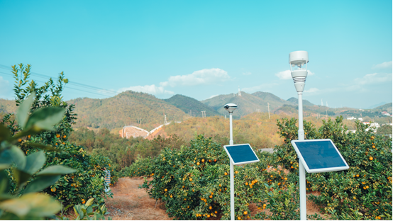 智慧果园管理软件
