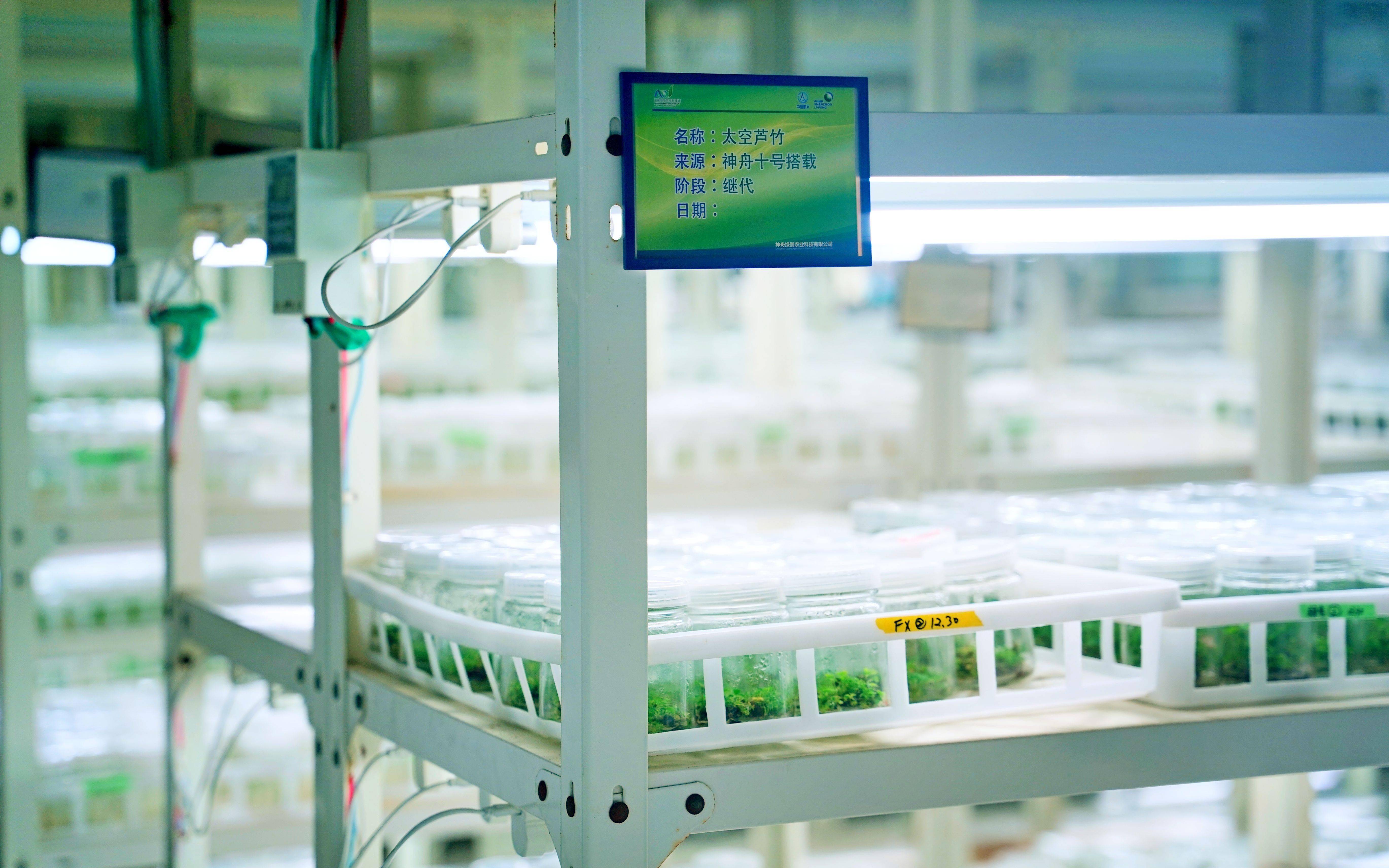 3722ed86e2a060933d1d18118914b225.jpeg 智慧种业