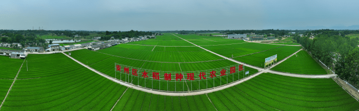 制种大县数字化解决方案