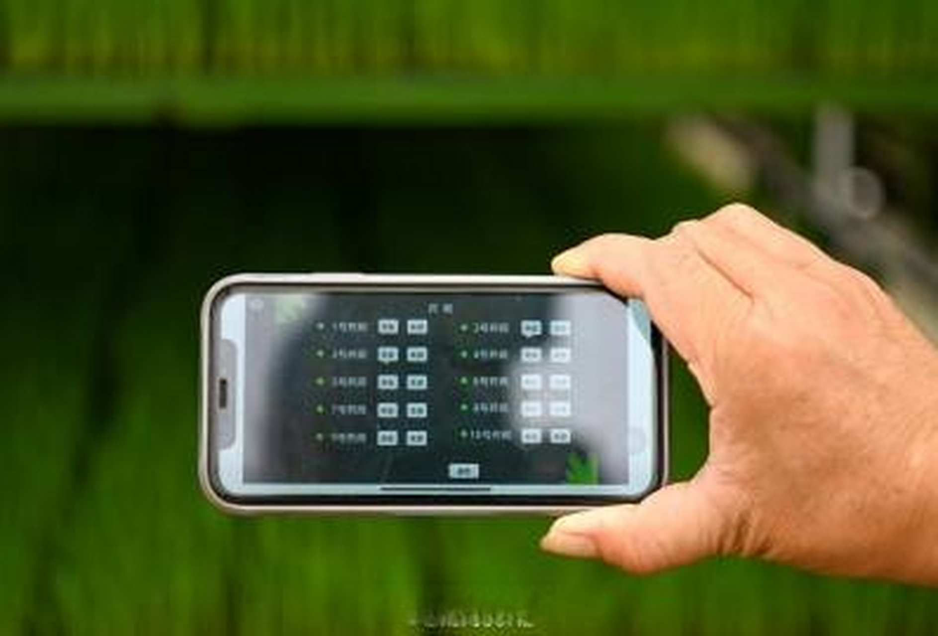 制种大县综合管理平台