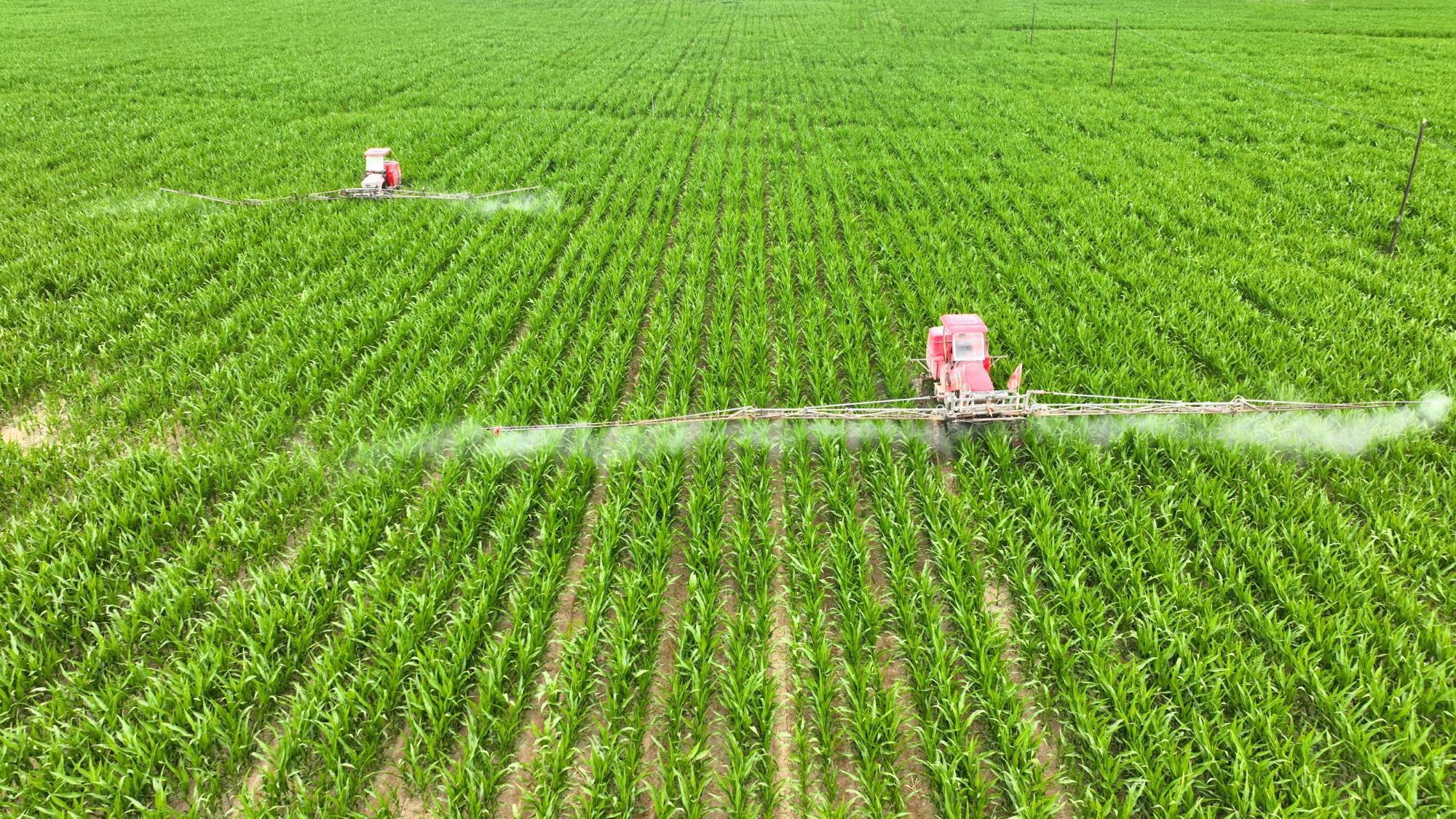 制种大县综合管理方案