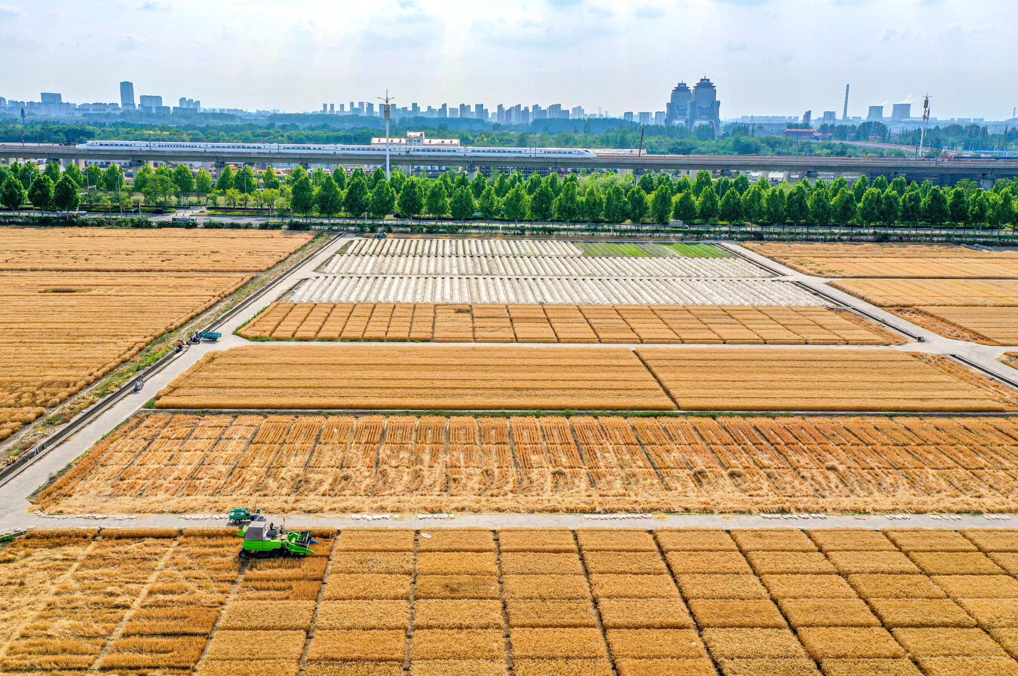 制种基地管理系统