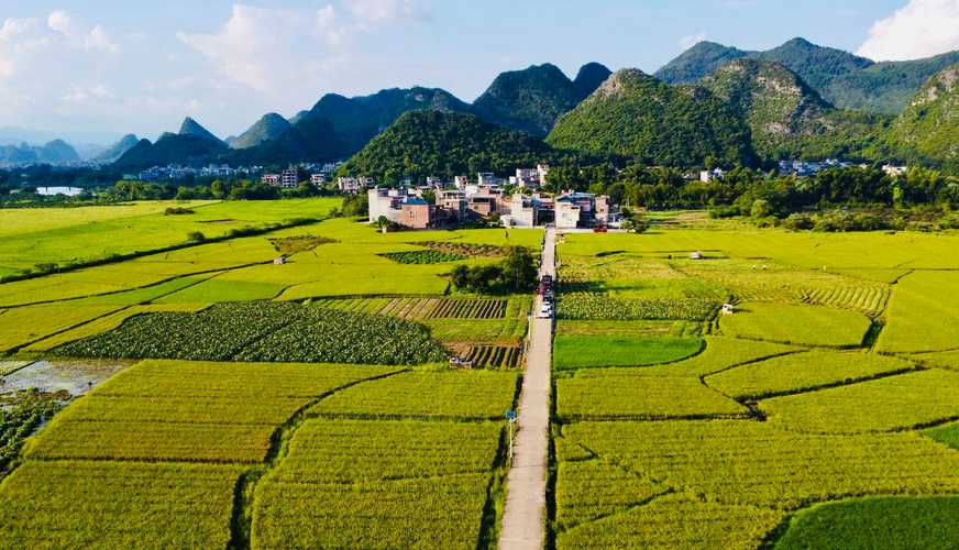 制种大县管理软件