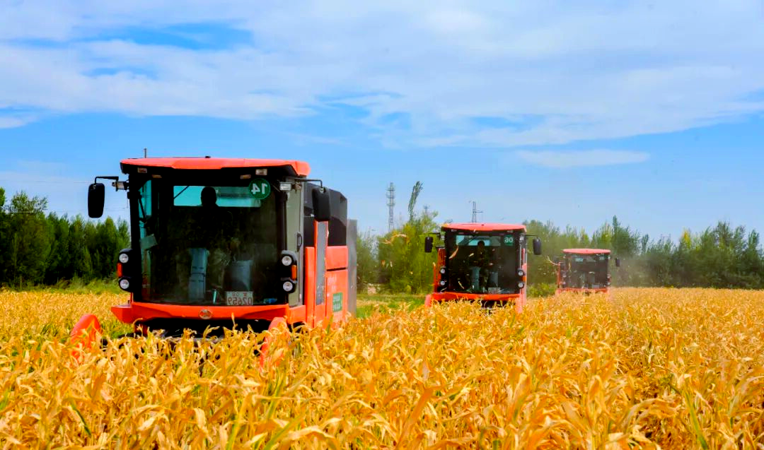 eb40fed766a68304a18519650e4d3cc8.png 育种管理软件