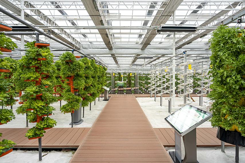 数字化农业管理软件