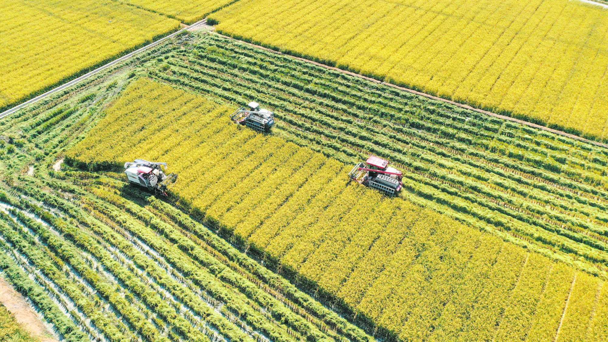 种业育繁推管理平台