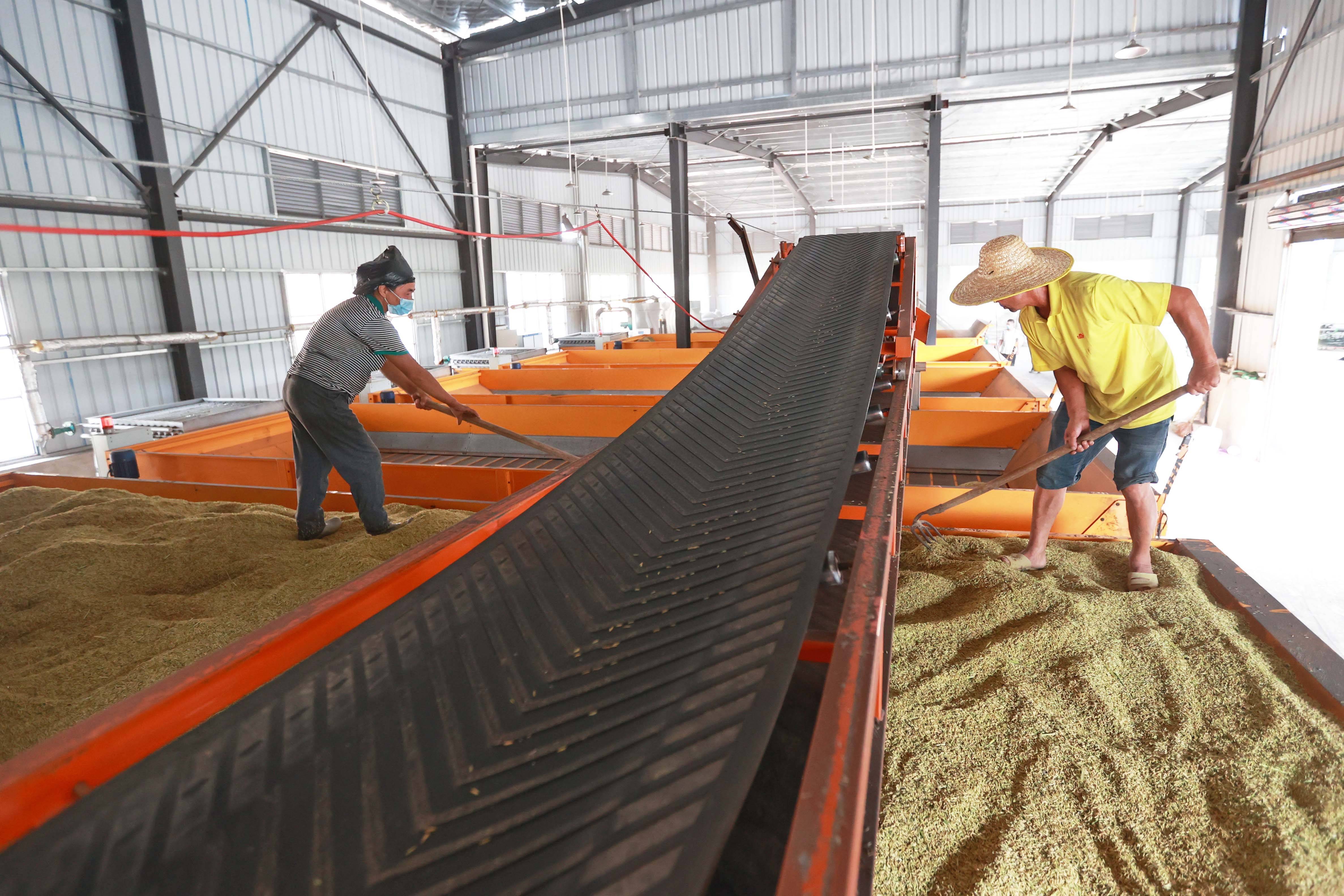 3be00ac2eda1412124e293b09585cf18.jpeg 制种大县软件