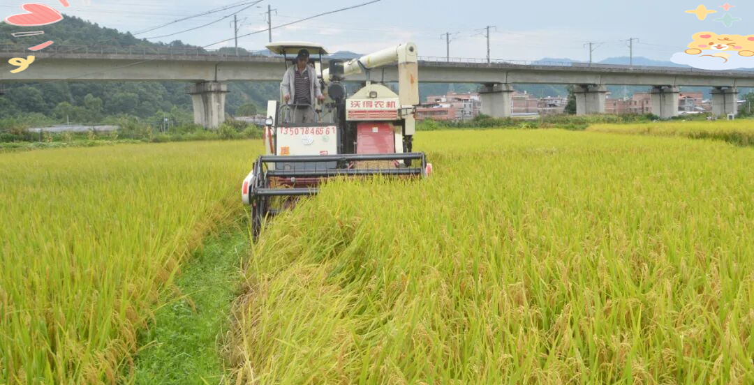 种业产销一体化软件