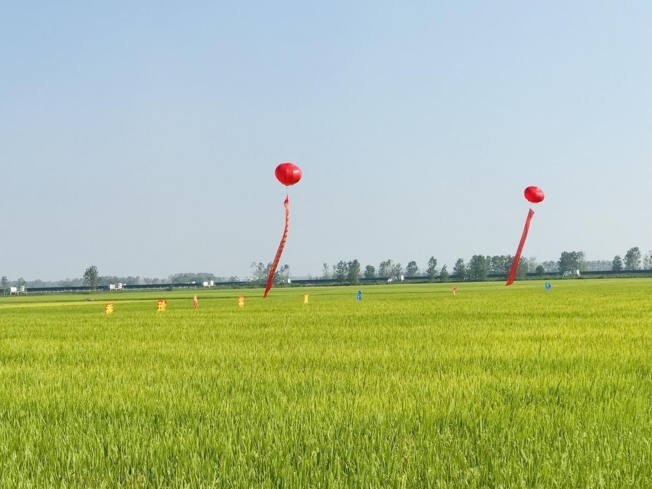 9ebc437767fcc7538be634952084b0ef.jpeg 育种软件