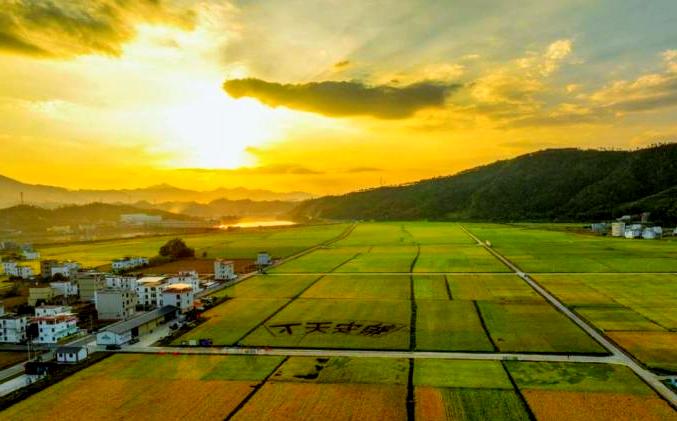 制种大县综合管理系统