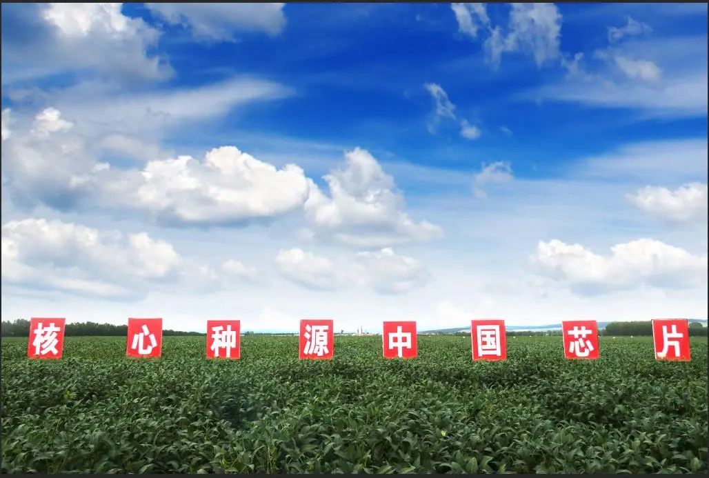 制种大县管理平台