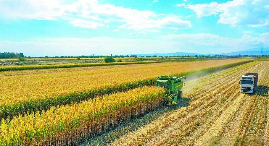 dd8af4e2ffe1e4ad8b50e4a5b613ae30.png 数字化制种大县管理系统