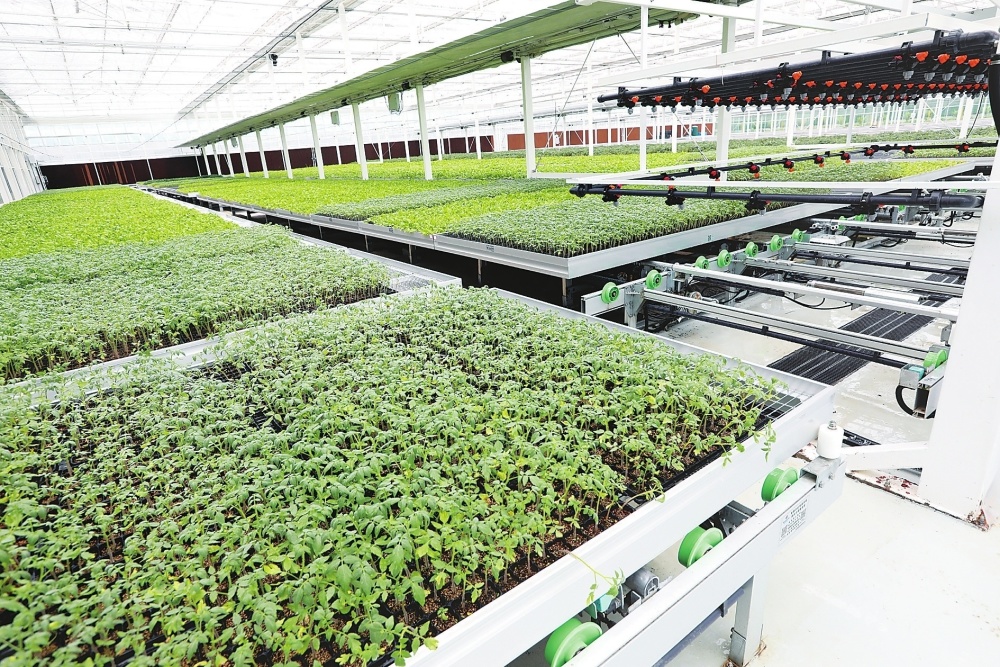 制种基地数字化解决方案