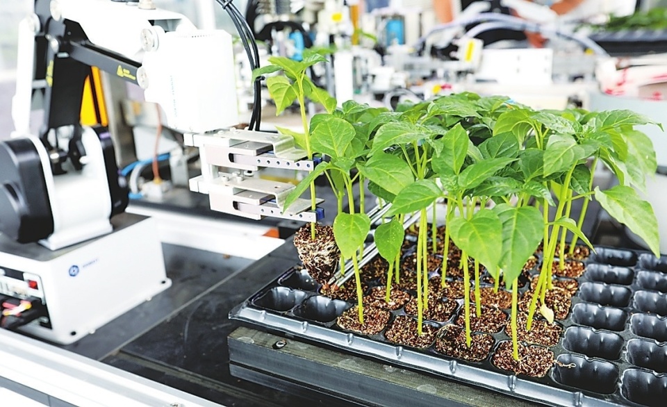 数字化种植平台