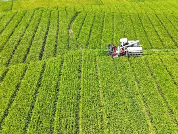 79914c236df47efc119db0c180e2f1c7.jpeg 79914c236df47efc119db0c180e2f1c7.jpeg