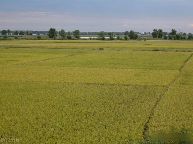 制种基地管理软件