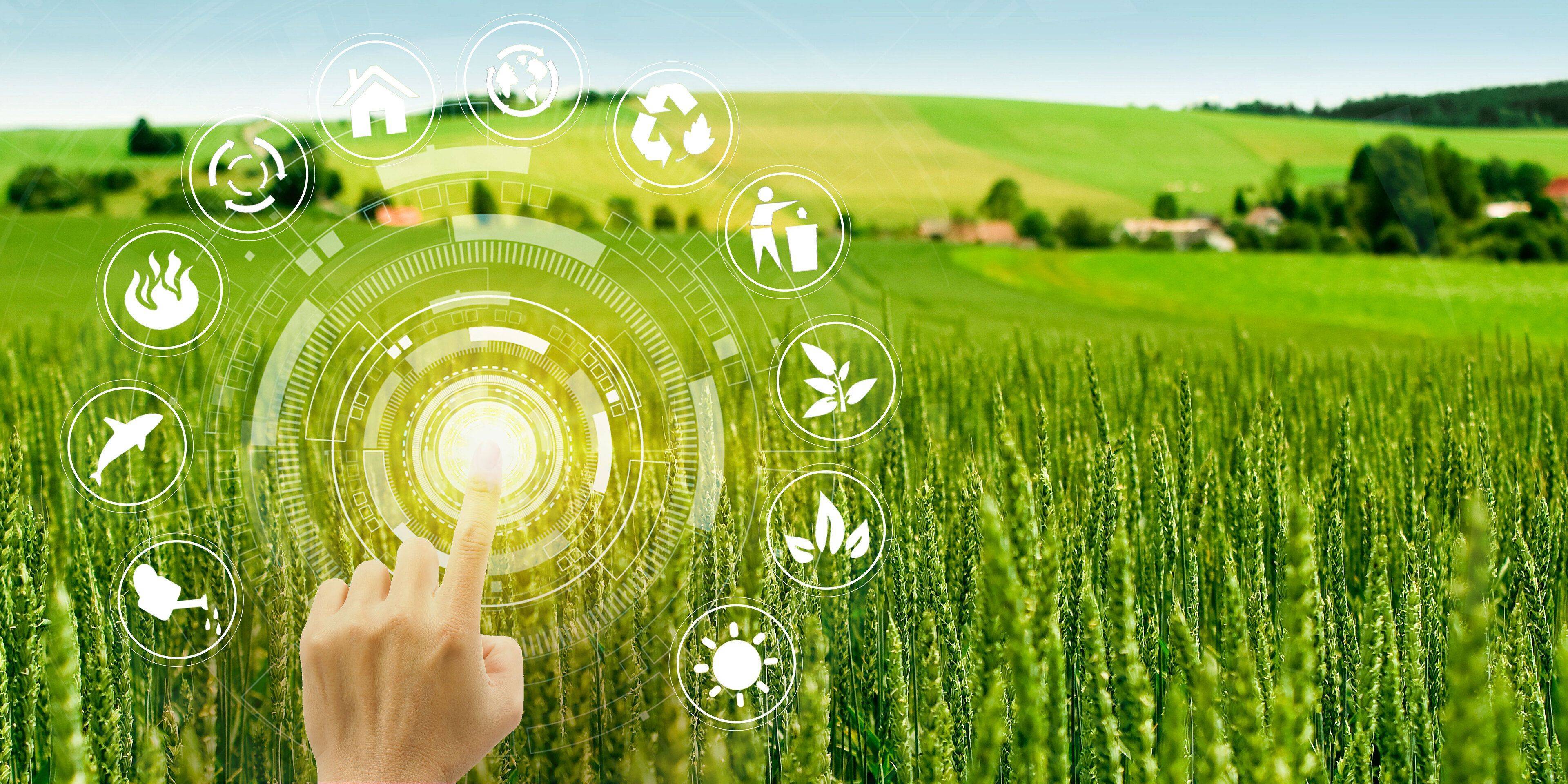 499f49c9693fa70797d15a6d89634cc3.jpeg 499f49c9693fa70797d15a6d89634cc3.jpeg