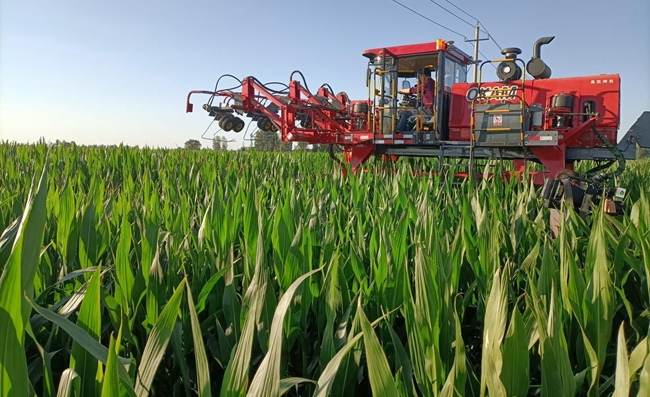 种业数字化管理软件