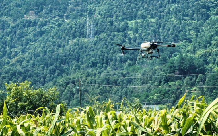 育繁推一体化管理