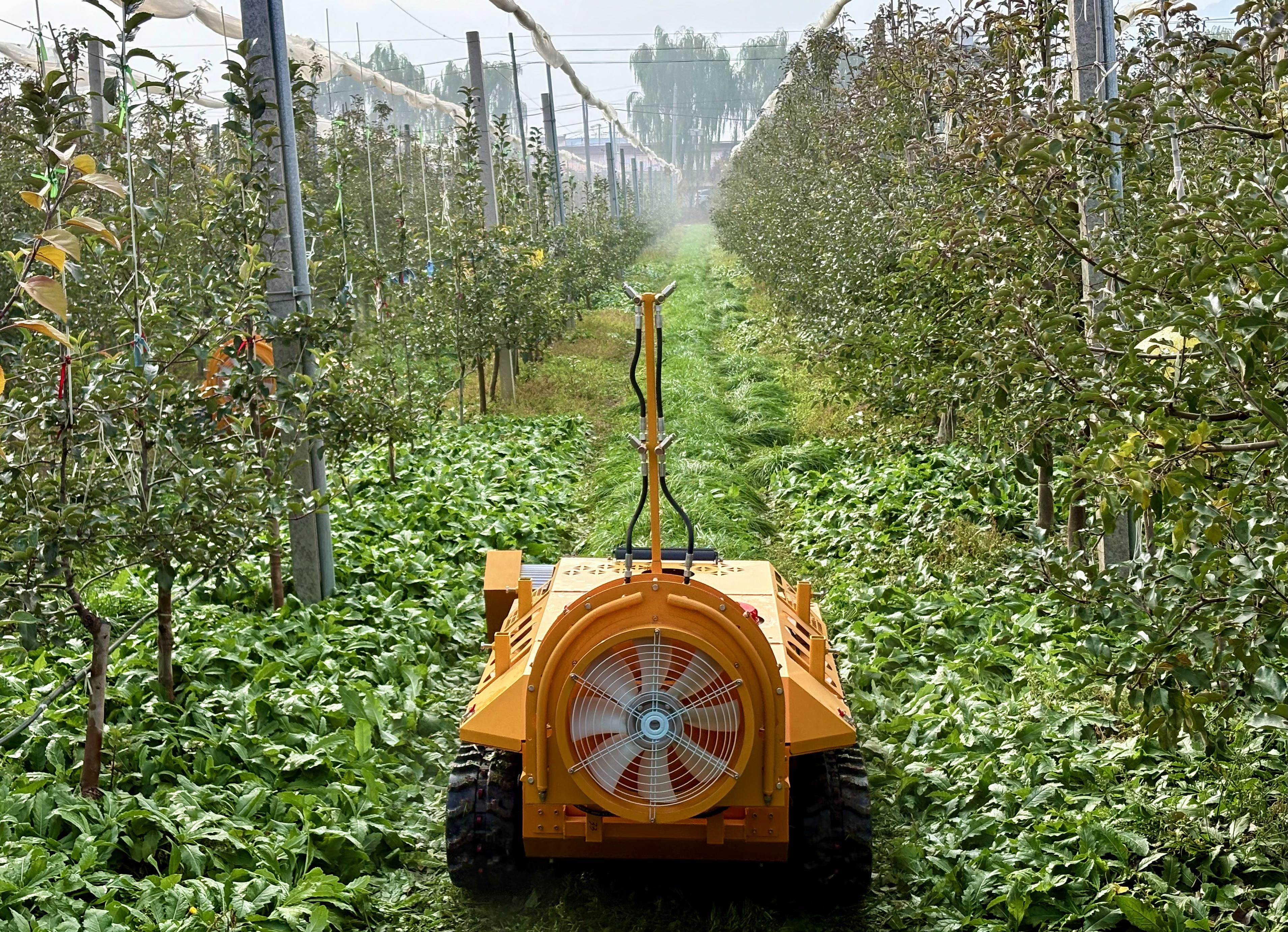 智慧果园管理系统