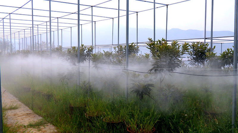 果园数字化管理软件