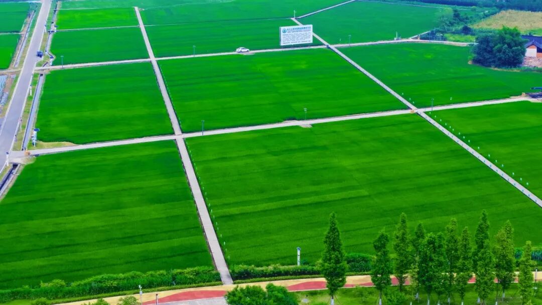 智慧制种基地建设